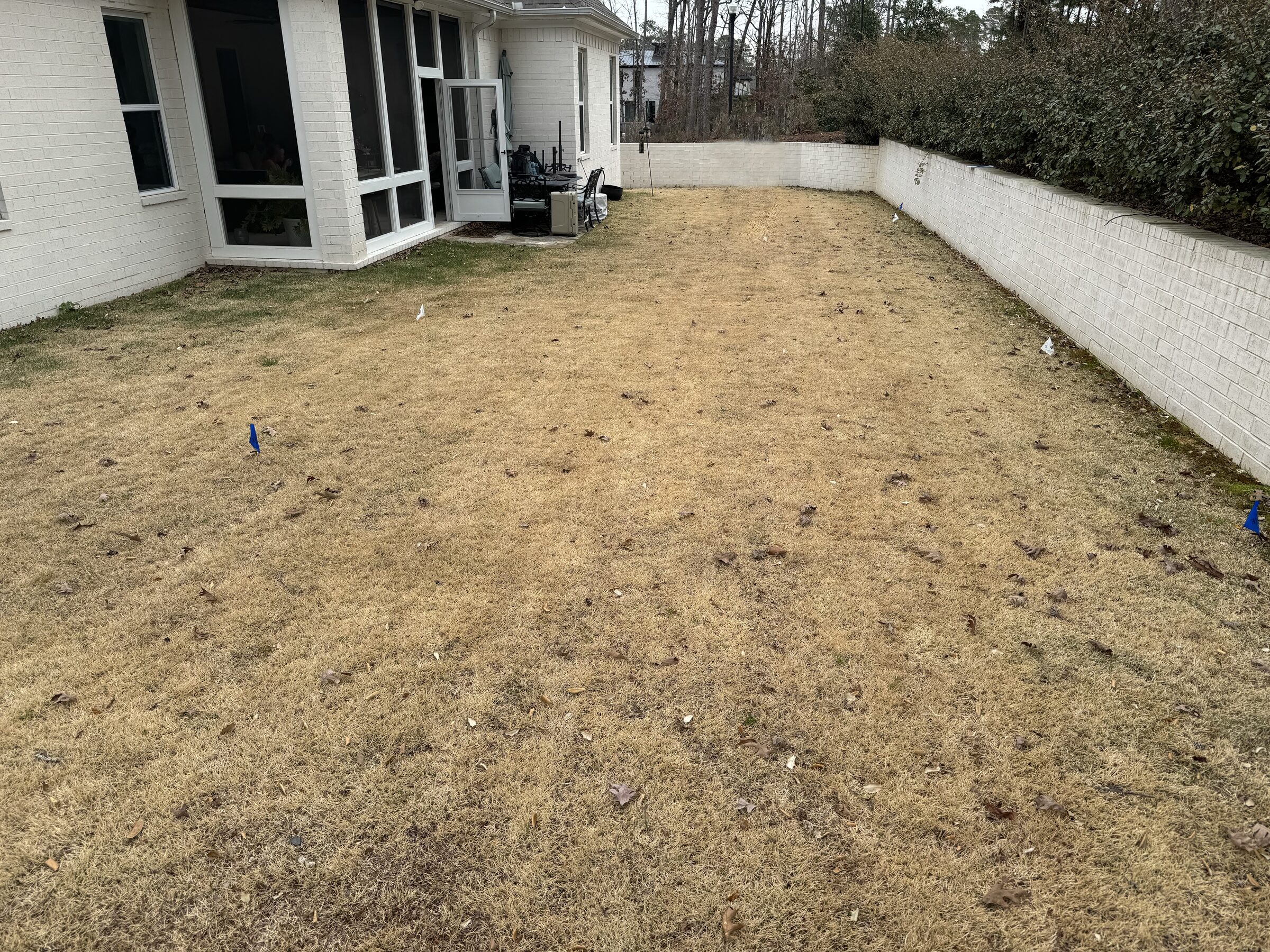 Before — bare backyard before we broke ground